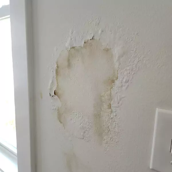 Expert Drywall Water Damage Repair in Boca Raton, FL
