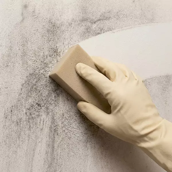 Smoke Cleaning in Boca Raton, FL 