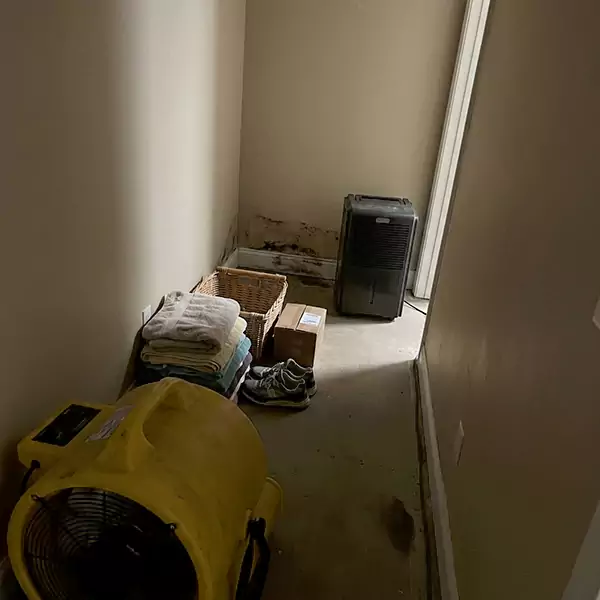 Expert Water Remediation in Boca Raton, FL 