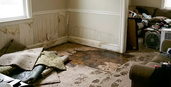 Why Choose Boca Raton Water Cleanup For Water Damage Restoration Services in Boca Raton, FL?