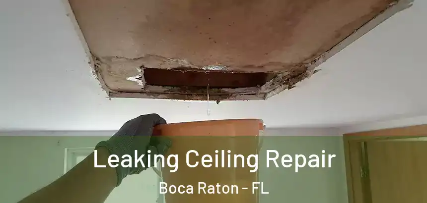  Leaking Ceiling Repair Boca Raton - FL