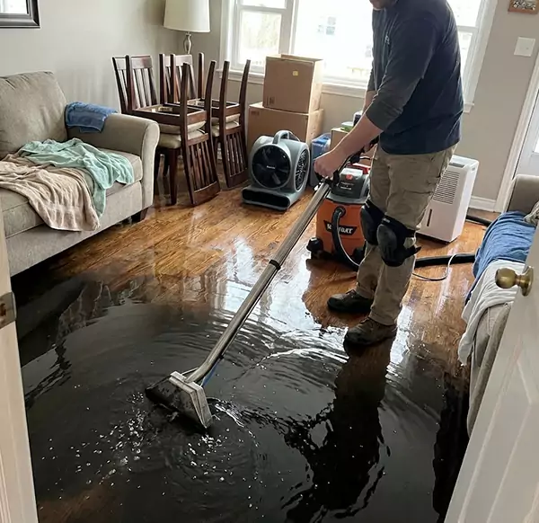 Why Homeowners & Businesses Choose Boca Raton Water Cleanup for Flood Restoration in Boca Raton, FL?