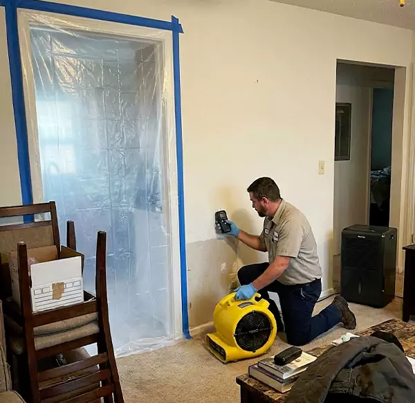 Why Homeowners & Businesses Choose Boca Raton Water Cleanup for Water Remediation in Boca Raton, FL?